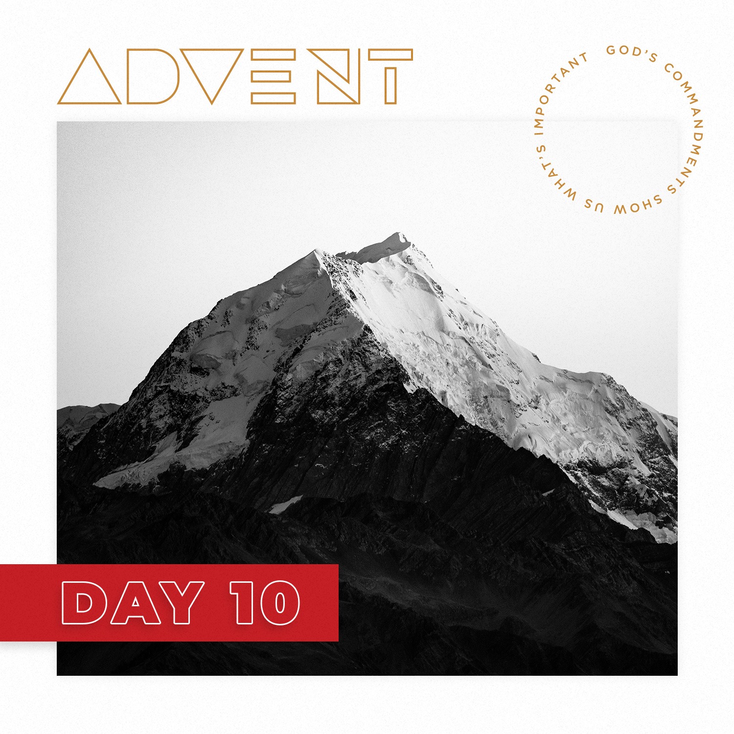 ADVENT DAY 10: Dec. 10 – Manger Animals, the First Witnesses