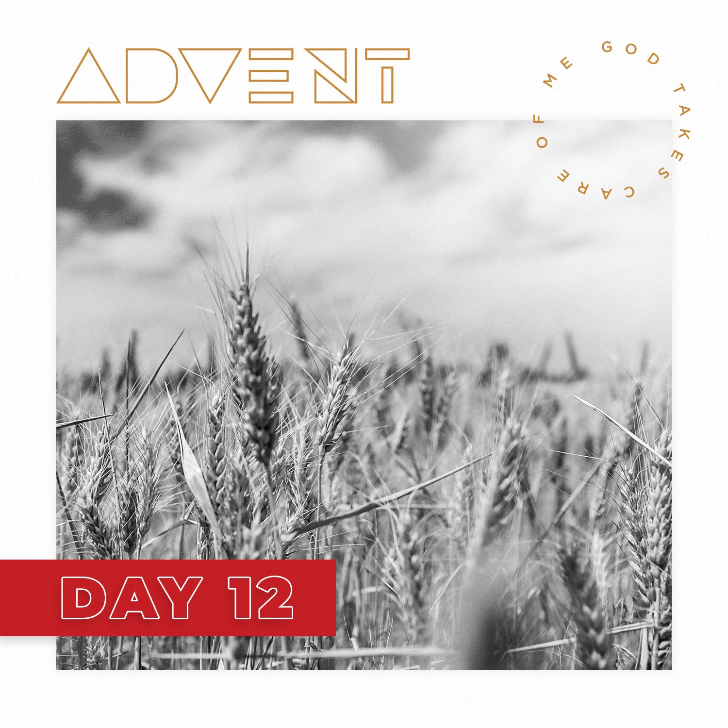 ADVENT DAY 12: Dec. 12 – Shepherds, Humble Evangelists
