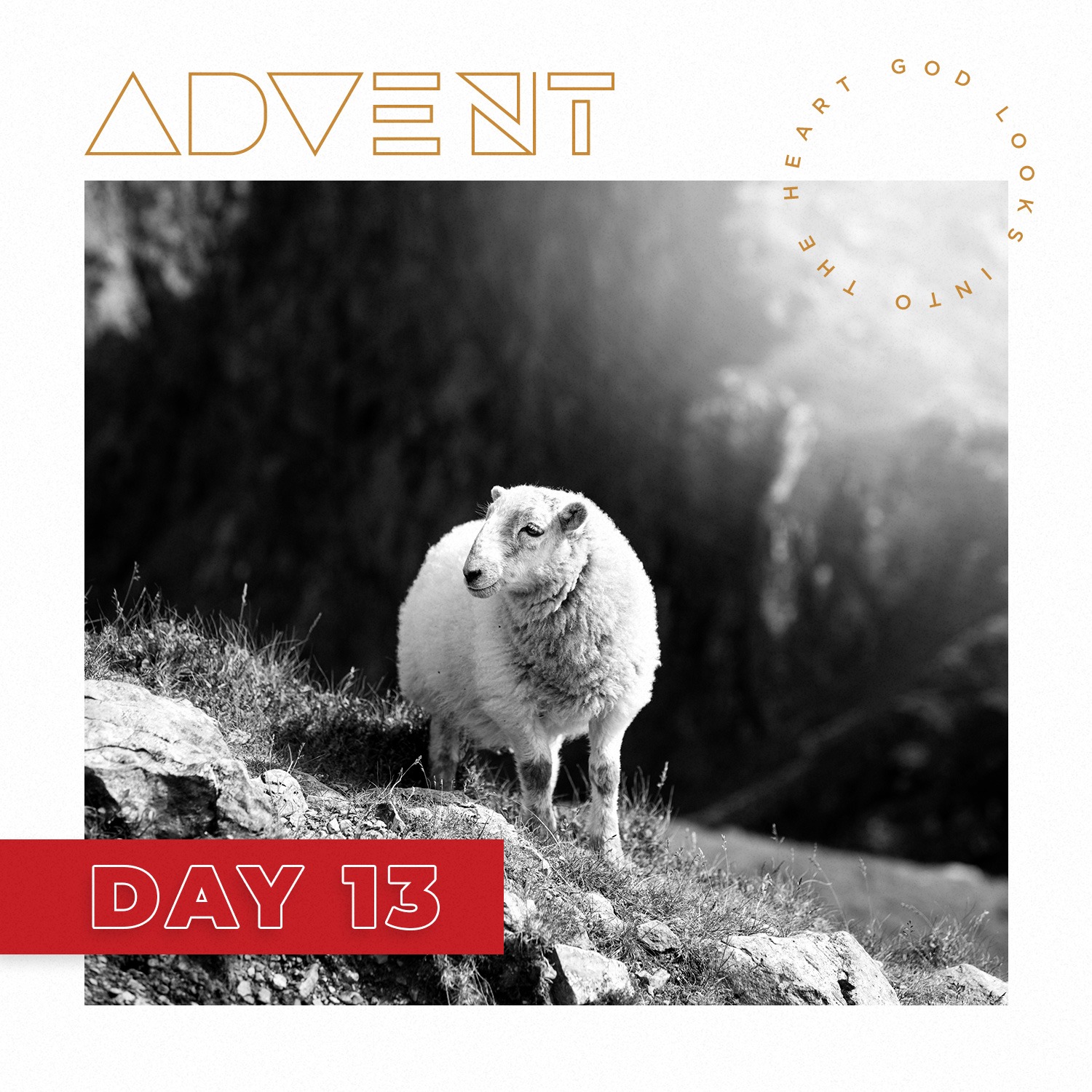 ADVENT DAY 13: Dec. 13 – Christmas Prophecies Come True