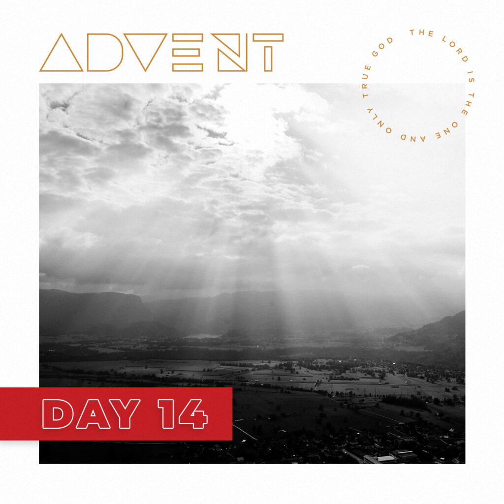 ADVENT DAY 14: Dec. 14 – Luke, the Doctor of Details