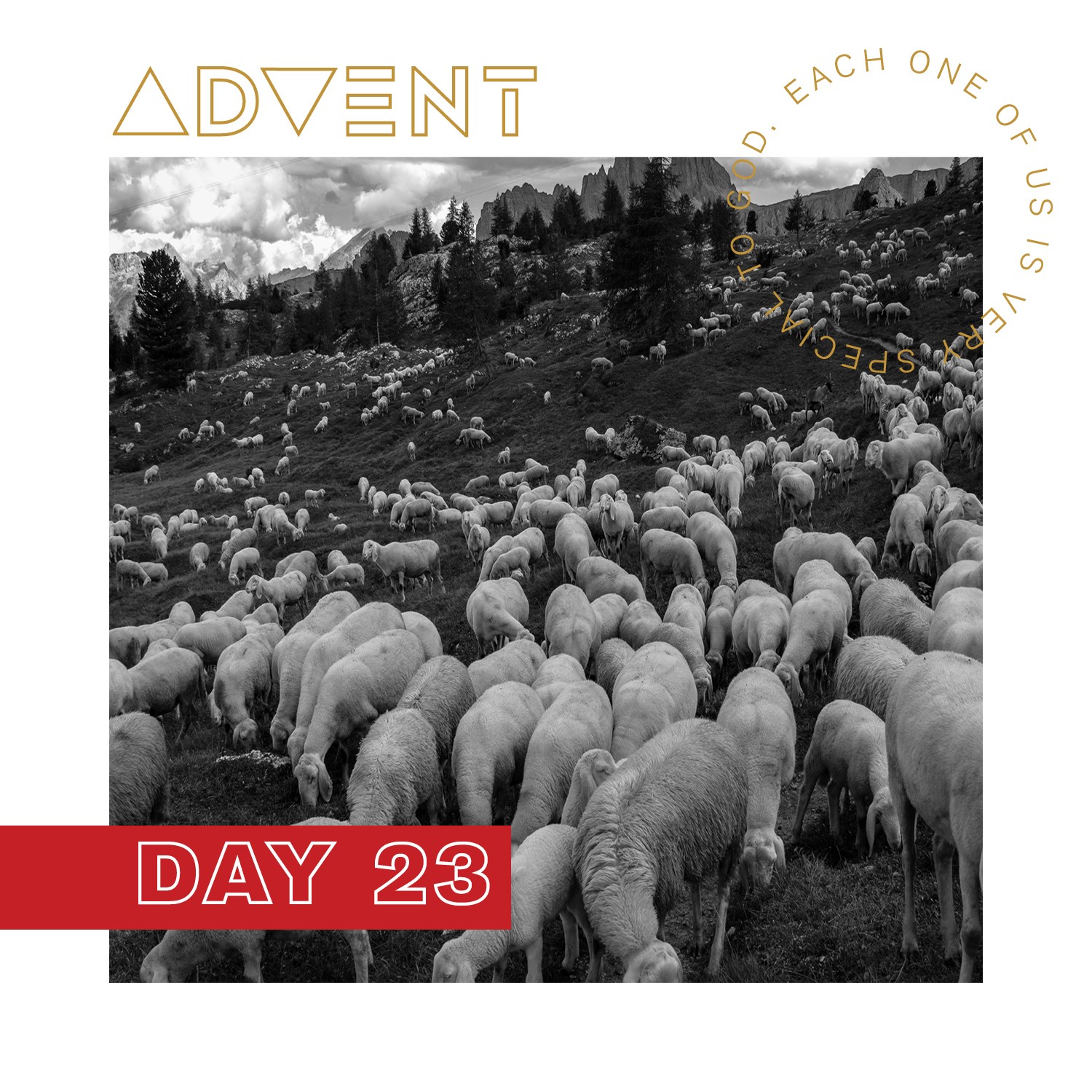 ADVENT DAY 23: Dec. 23 – Lessons from Advent Devotionals