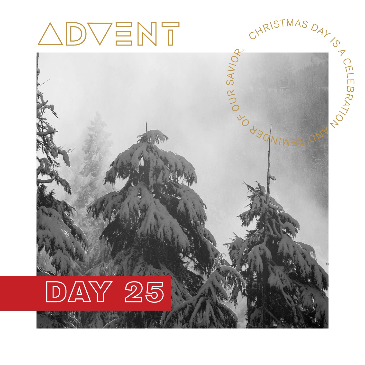 ADVENT DAY 25: Dec. 25 – 12 Days of Christmas to Epiphany