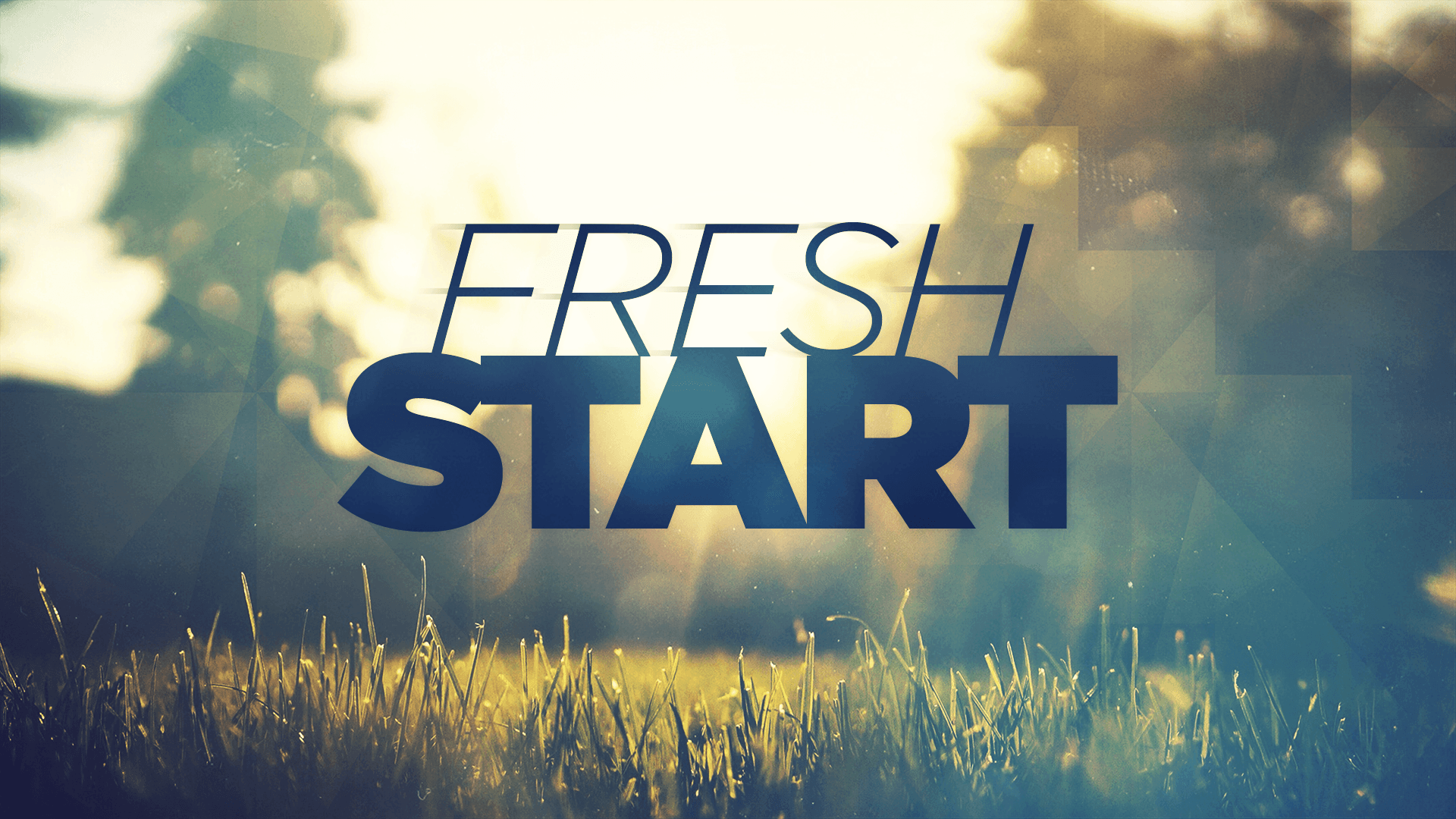 Fresh Start sermon series graphic over a sunlit meadow, on missional communities and making disciples